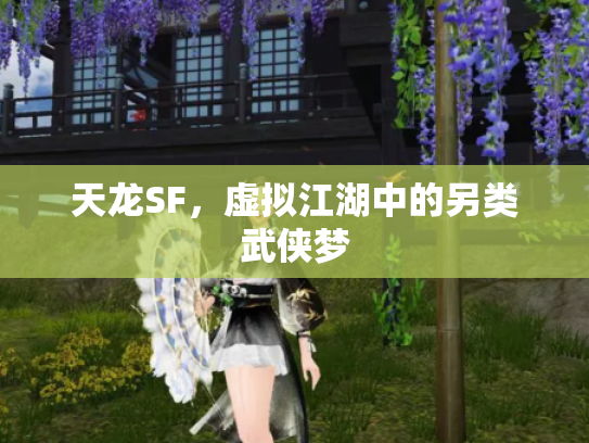 天龙SF，虚拟江湖中的另类武侠梦