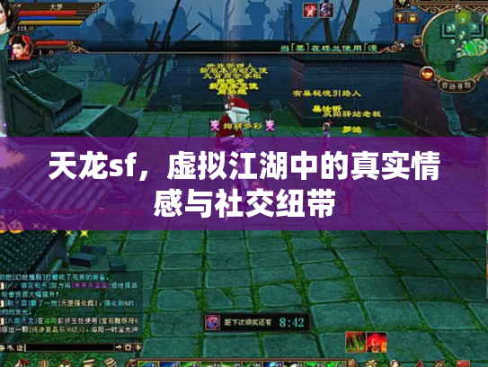 天龙sf，虚拟江湖中的真实情感与社交纽带