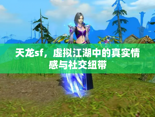 天龙sf，虚拟江湖中的真实情感与社交纽带