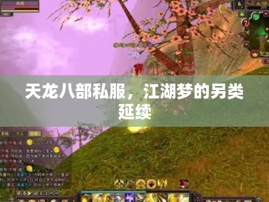 天龙八部私服，江湖梦的另类延续