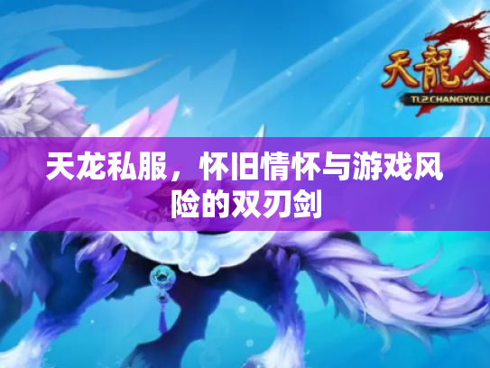 天龙私服，怀旧情怀与游戏风险的双刃剑