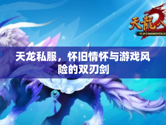天龙私服，怀旧情怀与游戏风险的双刃剑