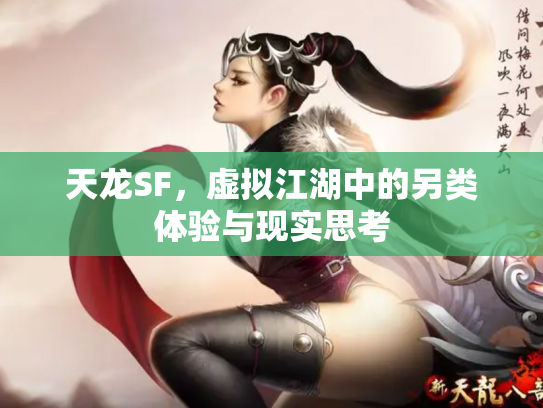 天龙SF，虚拟江湖中的另类体验与现实思考