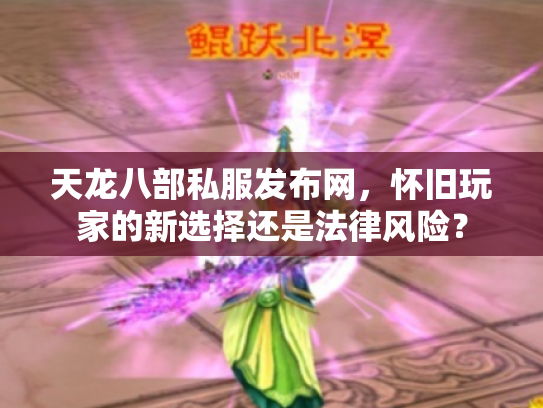 天龙八部私服发布网，怀旧玩家的新选择还是法律风险？