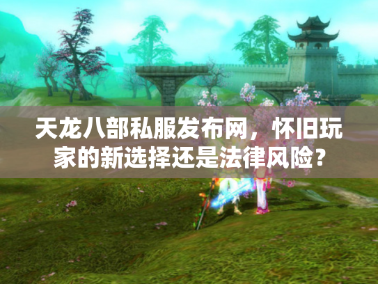 天龙八部私服发布网，怀旧玩家的新选择还是法律风险？