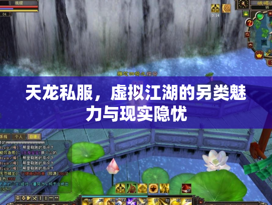 天龙私服，虚拟江湖的另类魅力与现实隐忧