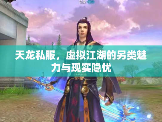 天龙私服，虚拟江湖的另类魅力与现实隐忧