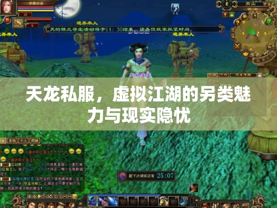 天龙私服，虚拟江湖的另类魅力与现实隐忧