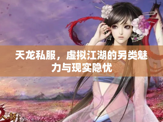 天龙私服，虚拟江湖的另类魅力与现实隐忧