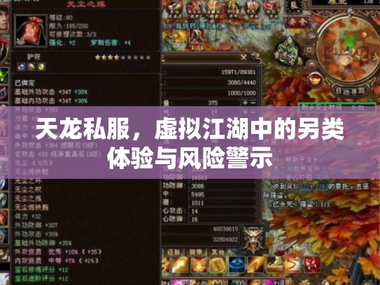 天龙私服，虚拟江湖中的另类体验与风险警示