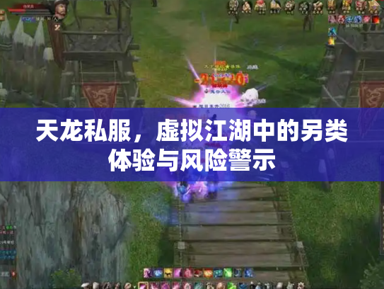 天龙私服，虚拟江湖中的另类体验与风险警示