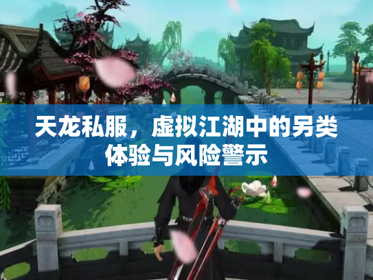 天龙私服，虚拟江湖中的另类体验与风险警示
