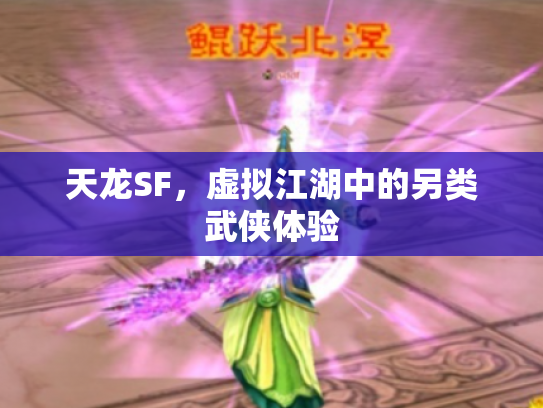 天龙SF，虚拟江湖中的另类武侠体验