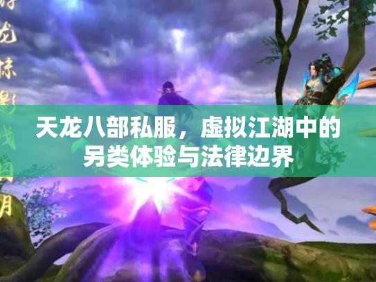 天龙八部私服，虚拟江湖中的另类体验与法律边界