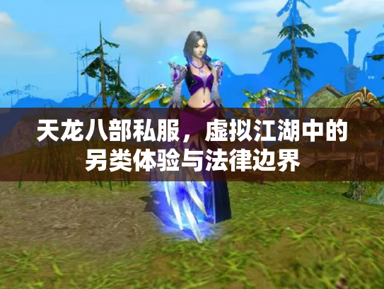 天龙八部私服，虚拟江湖中的另类体验与法律边界