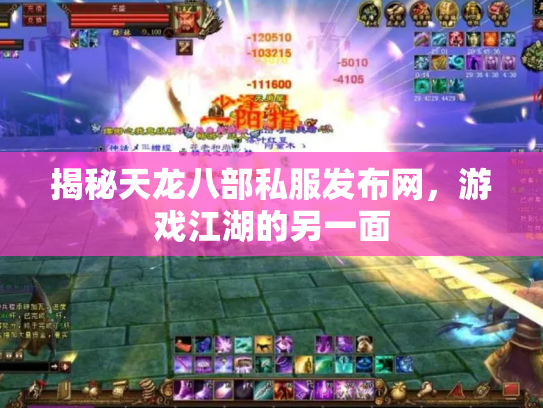 揭秘天龙八部私服发布网，游戏江湖的另一面