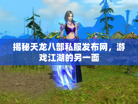 揭秘天龙八部私服发布网，游戏江湖的另一面