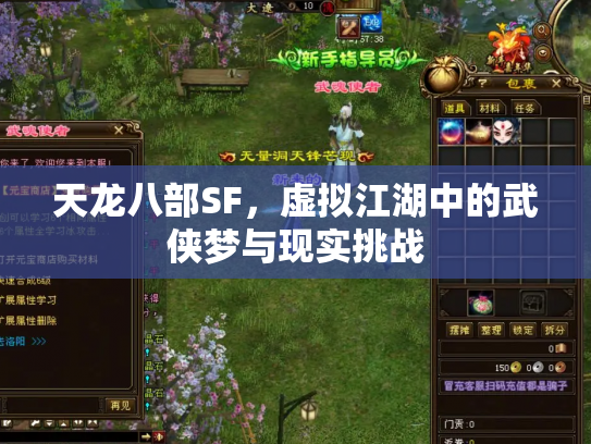 天龙八部SF，虚拟江湖中的武侠梦与现实挑战