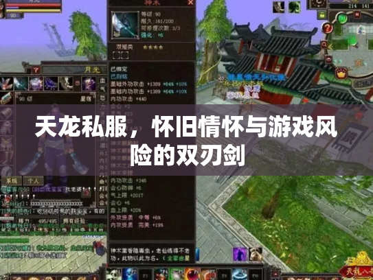 天龙私服，怀旧情怀与游戏风险的双刃剑