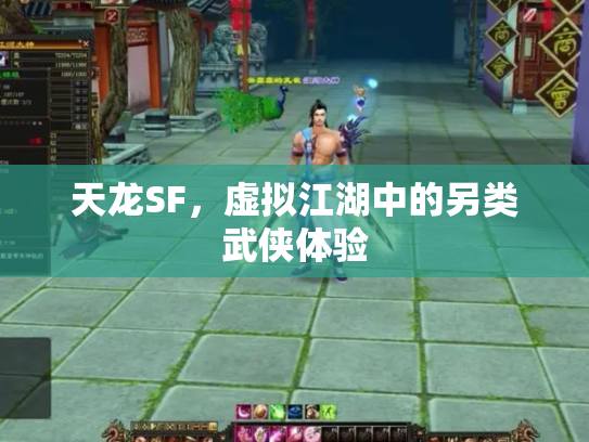 天龙SF，虚拟江湖中的另类武侠体验