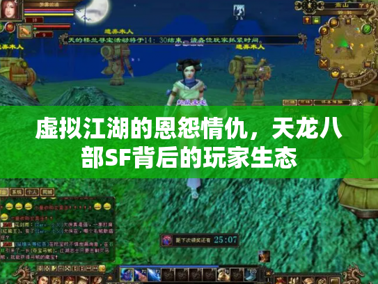 虚拟江湖的恩怨情仇，天龙八部SF背后的玩家生态
