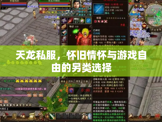 天龙私服，怀旧情怀与游戏自由的另类选择