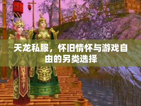 天龙私服，怀旧情怀与游戏自由的另类选择