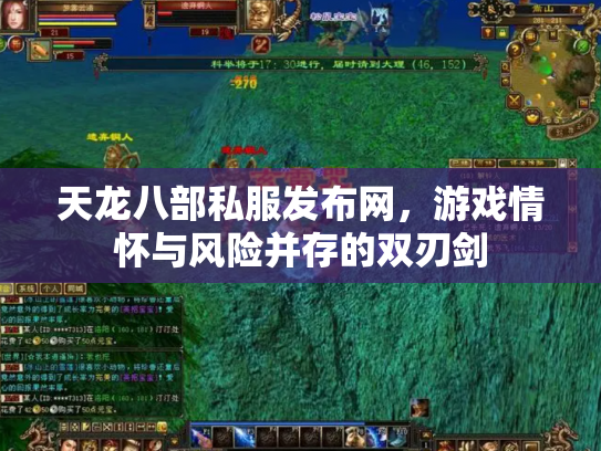 天龙八部私服发布网，游戏情怀与风险并存的双刃剑