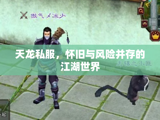 天龙私服，怀旧与风险并存的江湖世界