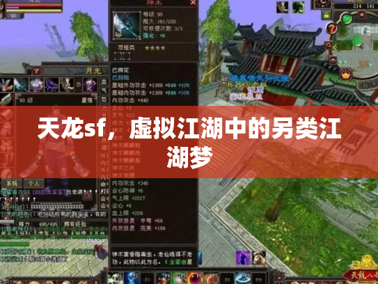 天龙sf，虚拟江湖中的另类江湖梦