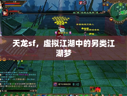 天龙sf，虚拟江湖中的另类江湖梦