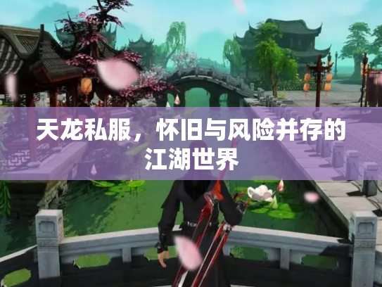 天龙私服，怀旧与风险并存的江湖世界