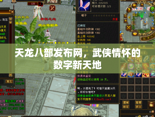 天龙八部发布网，武侠情怀的数字新天地