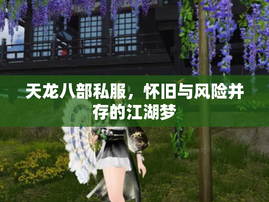 天龙八部私服，怀旧与风险并存的江湖梦