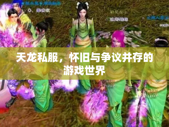 天龙私服，怀旧与争议并存的游戏世界