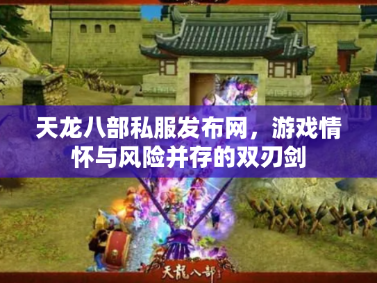 天龙八部私服发布网，游戏情怀与风险并存的双刃剑