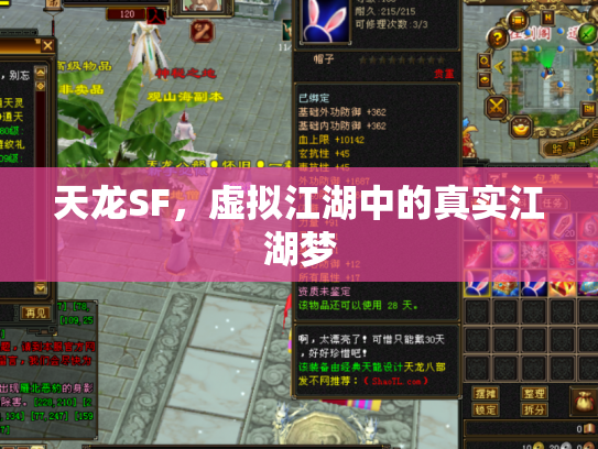 天龙SF，虚拟江湖中的真实江湖梦