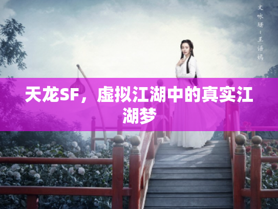 天龙SF，虚拟江湖中的真实江湖梦