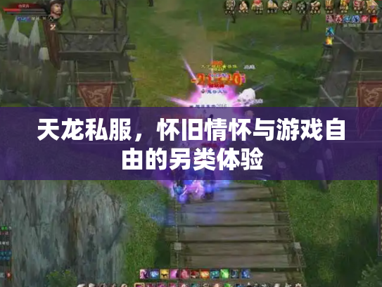 天龙私服，怀旧情怀与游戏自由的另类体验