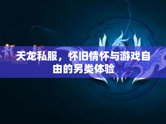 天龙私服，怀旧情怀与游戏自由的另类体验