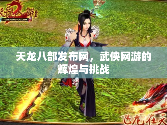 天龙八部发布网，武侠网游的辉煌与挑战