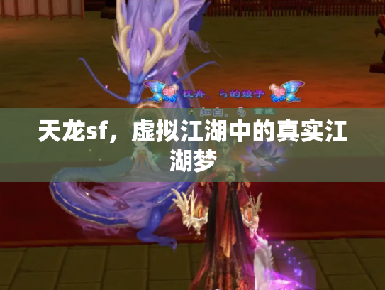 天龙sf，虚拟江湖中的真实江湖梦