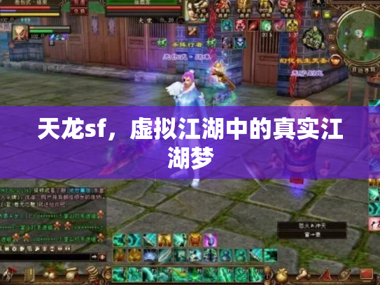 天龙sf，虚拟江湖中的真实江湖梦