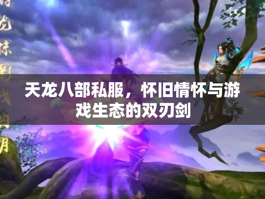 天龙八部私服，怀旧情怀与游戏生态的双刃剑