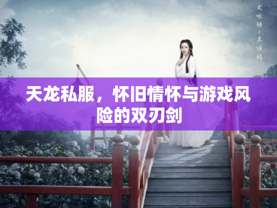 天龙私服，怀旧情怀与游戏风险的双刃剑