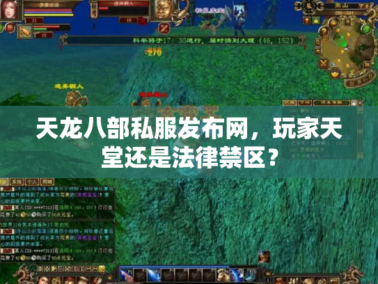 天龙八部私服发布网，玩家天堂还是法律禁区？