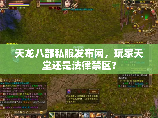 天龙八部私服发布网，玩家天堂还是法律禁区？