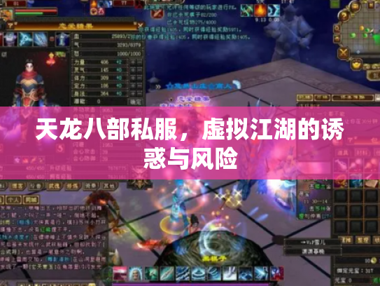 天龙八部私服，虚拟江湖的诱惑与风险