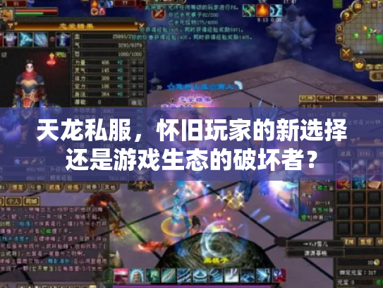 天龙私服，怀旧玩家的新选择还是游戏生态的破坏者？