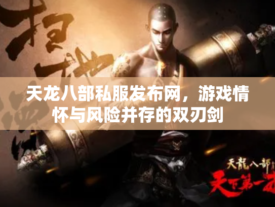 天龙八部私服发布网，游戏情怀与风险并存的双刃剑